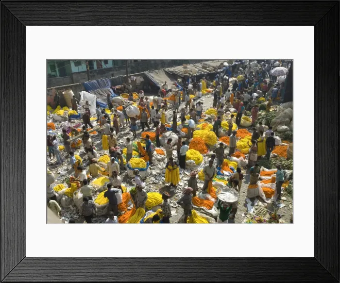 Framed Print : Armenia Ghat flower market, Kolkata (Calcutta), West Bengal, India, Asia Framed Print : Armenia Ghat flower market, Kolkata (Calcutta), West Bengal, India, Asia