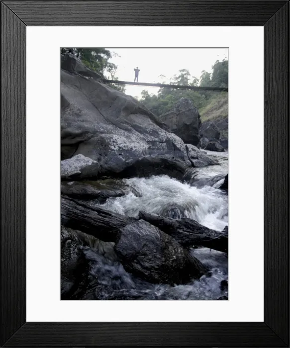 Framed Print : Trek path to Kunthipuzha, Silent Valley National Park, Palakkad District, Kerala, India, Asia Framed Print : Trek path to Kunthipuzha, Silent Valley National Park, Palakkad District, Kerala, India, Asia