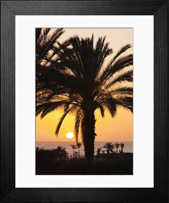 Framed Print : Palm trees at sunset, Playa de Los Amadores, Gran Canaria, Canary Islands, Spain, Atlantic, Europe Framed Print : Palm trees at sunset, Playa de Los Amadores, Gran Canaria, Canary Islands, Spain, Atlantic, Europe