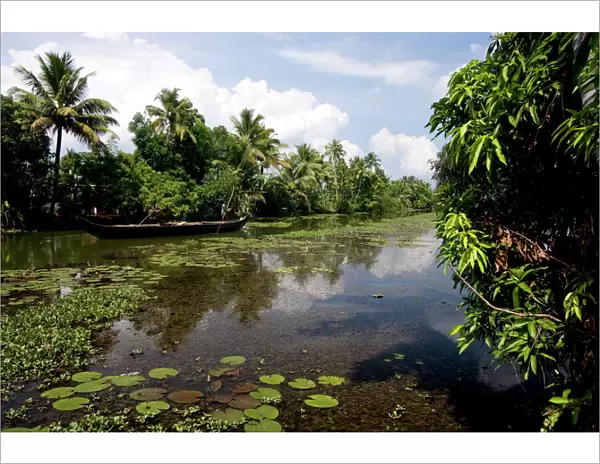 Backwaters of Kumarakom, Kottayam, Kerala, India, Asia
