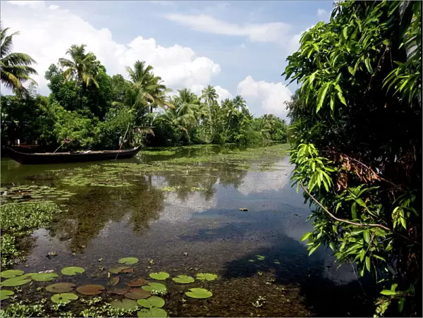 Backwaters of Kumarakom, Kottayam, Kerala, India, Asia