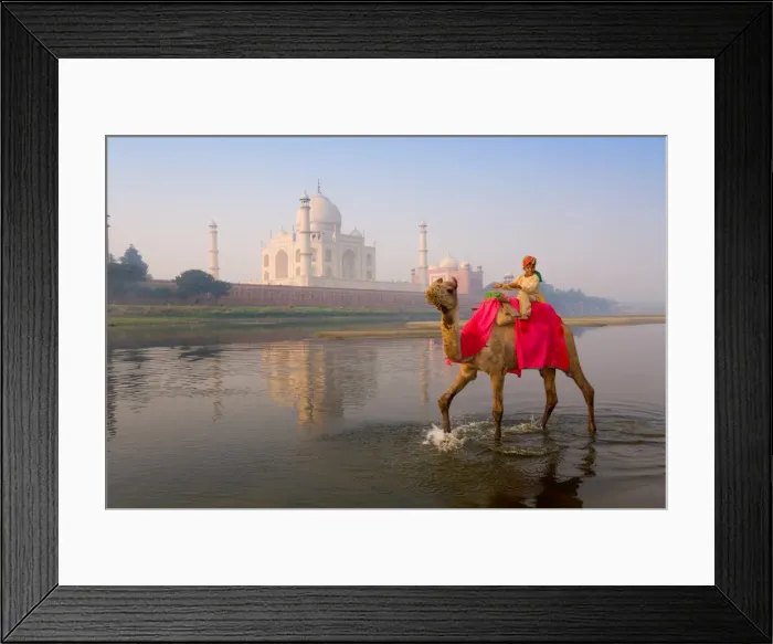 Framed Print : Boy riding camel in the Yamuna River in front of the Taj Mahal, UNESCO World Heritage Site, Agra, Uttar Pradesh, India, Asia Framed Print : Boy riding camel in the Yamuna River in front of the Taj Mahal, UNESCO World Heritage Site, Agra, Uttar Pradesh, India, Asia