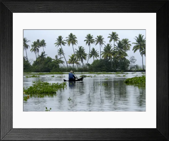 Framed Print : Country boat in Vembanadu Lake, Kumarakom, Kerala, India, Asia Framed Print : Country boat in Vembanadu Lake, Kumarakom, Kerala, India, Asia
