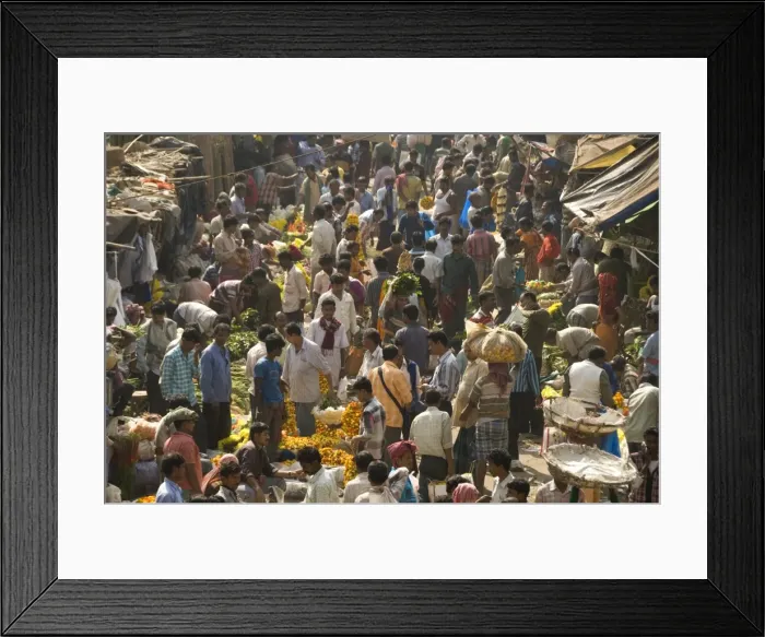 Framed Print : Armenia Ghat market, Kolkata (Calcutta), West Bengal, India, Asia Framed Print : Armenia Ghat market, Kolkata (Calcutta), West Bengal, India, Asia
