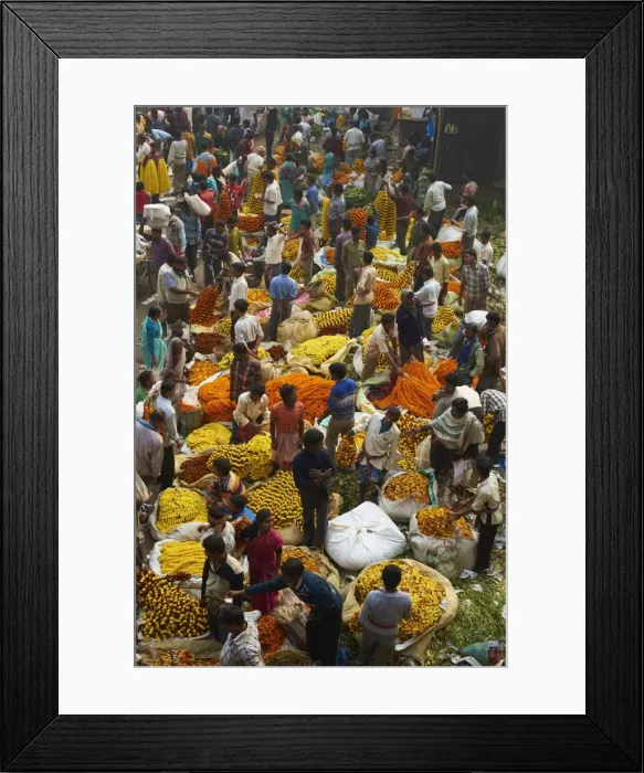 Framed Print : Mullik Ghat flower market, Kolkata (Calcutta), West Bengal, India, Asia Framed Print : Mullik Ghat flower market, Kolkata (Calcutta), West Bengal, India, Asia