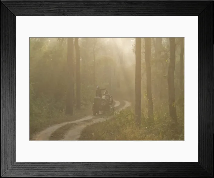 Framed Print : Tourists on morning safari, Kanha, Madhya Pradesh, India, Asia Framed Print : Tourists on morning safari, Kanha, Madhya Pradesh, India, Asia