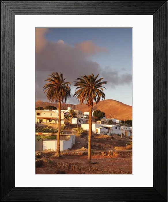 Framed Print : Palm trees and the white village of Toto at sunset, Fuerteventura, Canary Islands, Spain, Europe Framed Print : Palm trees and the white village of Toto at sunset, Fuerteventura, Canary Islands, Spain, Europe