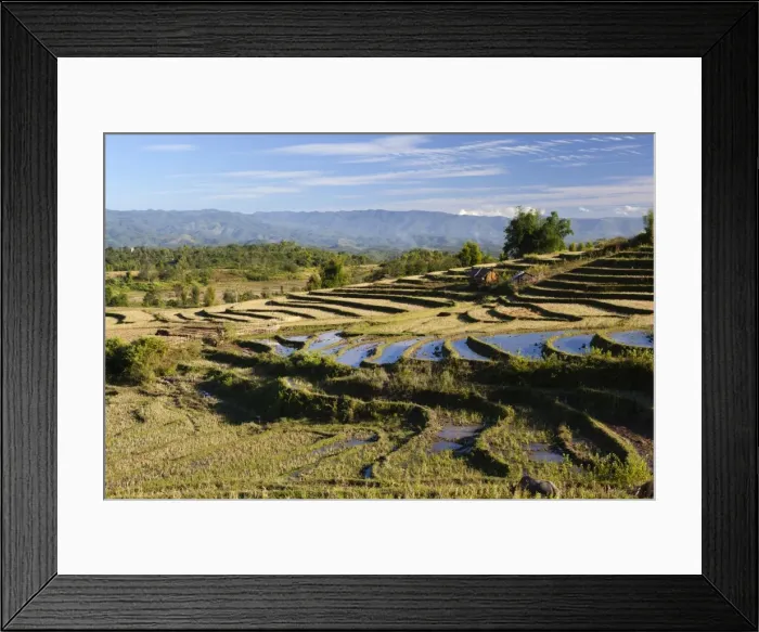 Framed Print : Terraced rice fields and Shan hills, near Kengtung, Shan State, Myanmar (Burma), Asia Framed Print : Terraced rice fields and Shan hills, near Kengtung, Shan State, Myanmar (Burma), Asia