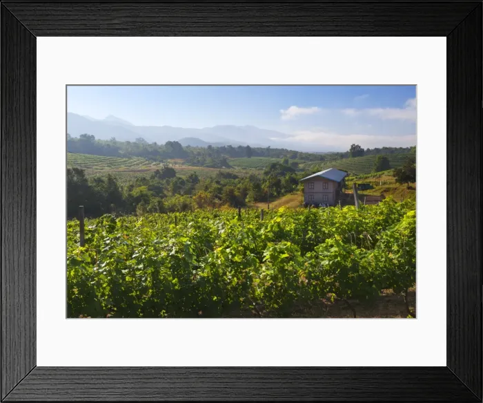 Framed Print : Red Mountain Estate winery, Nyaungshwe, Inle Lake, Shan State, Myanmar (Burma), Asia Framed Print : Red Mountain Estate winery, Nyaungshwe, Inle Lake, Shan State, Myanmar (Burma), Asia