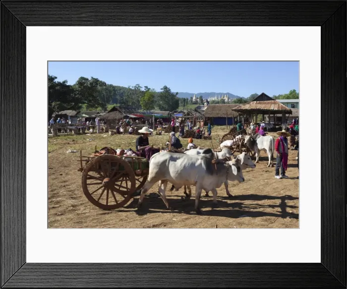 Framed Print : Thaung Tho tribal market at southern end of lake, Inle Lake, Shan State, Myanmar (Burma), Asia Framed Print : Thaung Tho tribal market at southern end of lake, Inle Lake, Shan State, Myanmar (Burma), Asia
