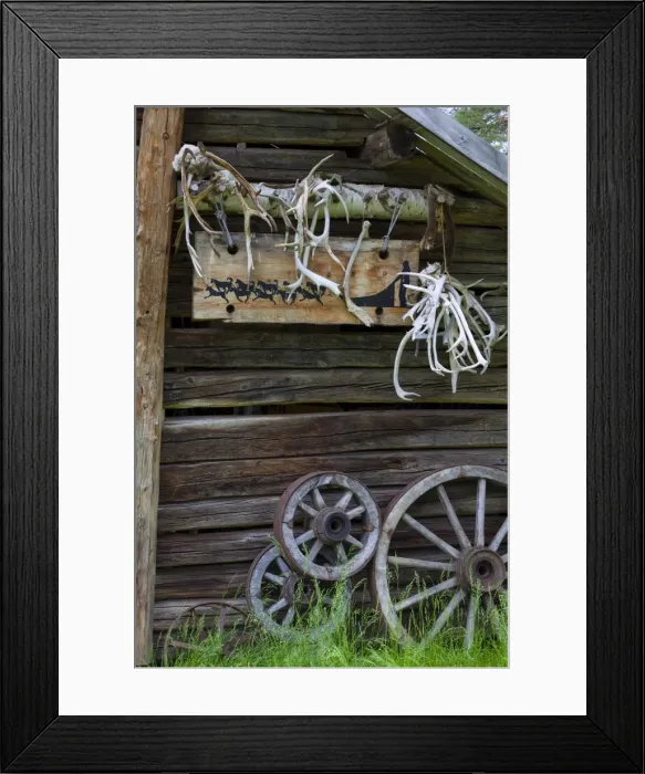 Framed Print : Engholm Husky Centre, Karajok, Finnmark, Norway, Scandinavia, Europe Framed Print : Engholm Husky Centre, Karajok, Finnmark, Norway, Scandinavia, Europe