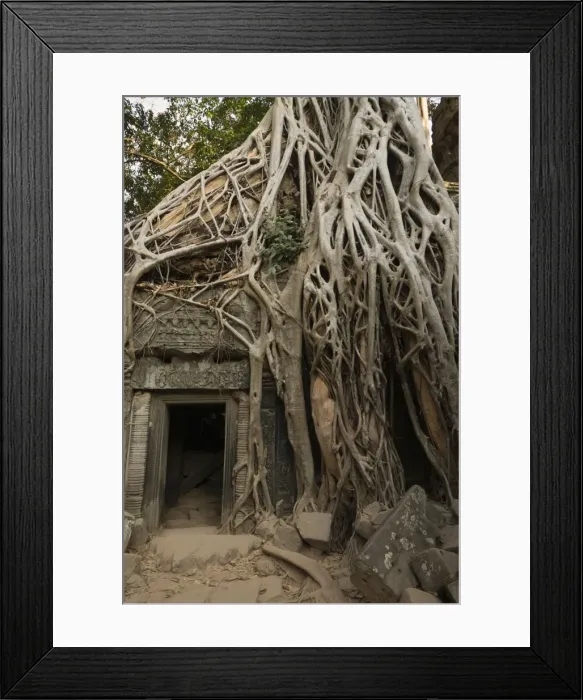 Framed Print : Taprohm Kei temple, Angkor Thom, Siem Reap, Cambodia Framed Print : Taprohm Kei temple, Angkor Thom, Siem Reap, Cambodia