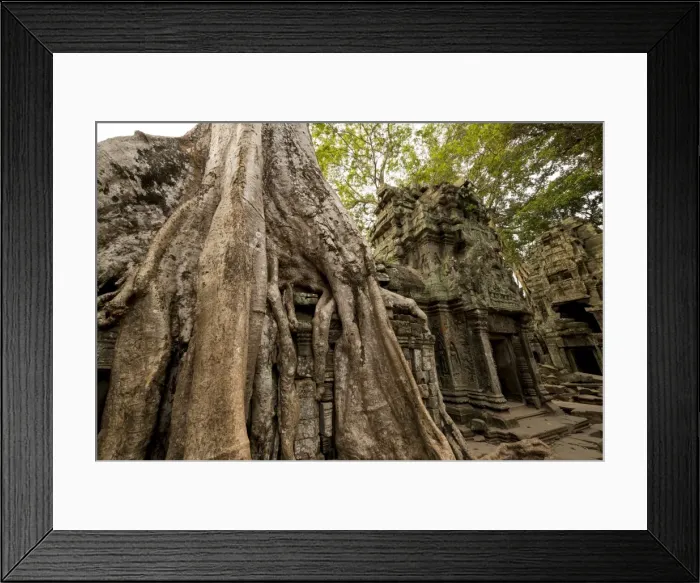Framed Print : Temple of Ta Prohm, Angkor, UNESCO World Heritage Site, Siem Reap, Cambodia, Indochina, Southeast Asia, Asia Framed Print : Temple of Ta Prohm, Angkor, UNESCO World Heritage Site, Siem Reap, Cambodia, Indochina, Southeast Asia, Asia