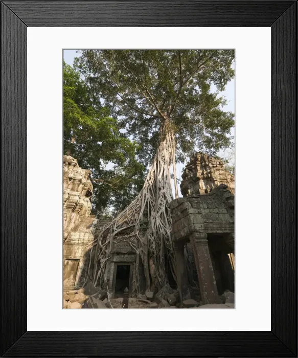 Framed Print : Taprohm Kei temple, Angkor Thom, Siem Reap, Cambodia Framed Print : Taprohm Kei temple, Angkor Thom, Siem Reap, Cambodia