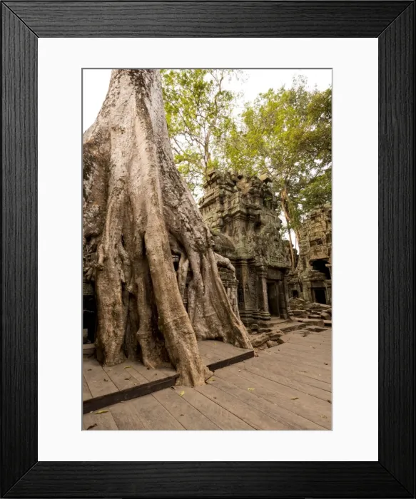 Framed Print : Temple of Ta Prohm, Angkor, UNESCO World Heritage Site, Siem Reap, Cambodia, Indochina, Southeast Asia, Asia Framed Print : Temple of Ta Prohm, Angkor, UNESCO World Heritage Site, Siem Reap, Cambodia, Indochina, Southeast Asia, Asia