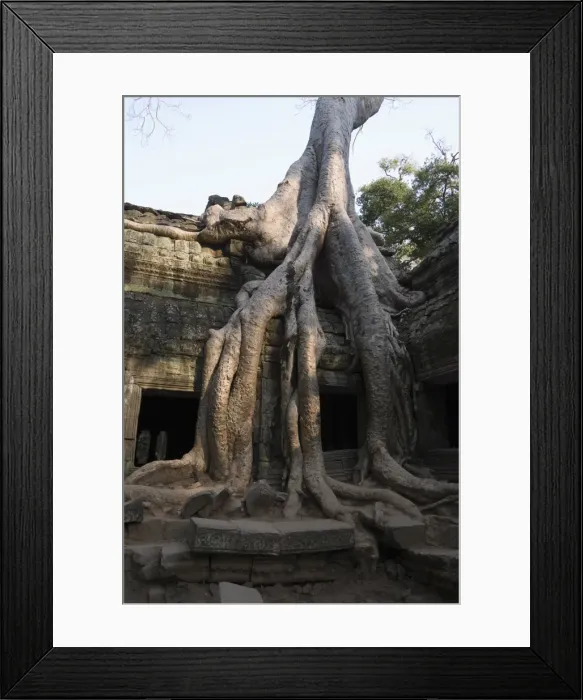 Framed Print : Taprohm Kei temple, Angkor Thom, Siem Reap, Cambodia Framed Print : Taprohm Kei temple, Angkor Thom, Siem Reap, Cambodia