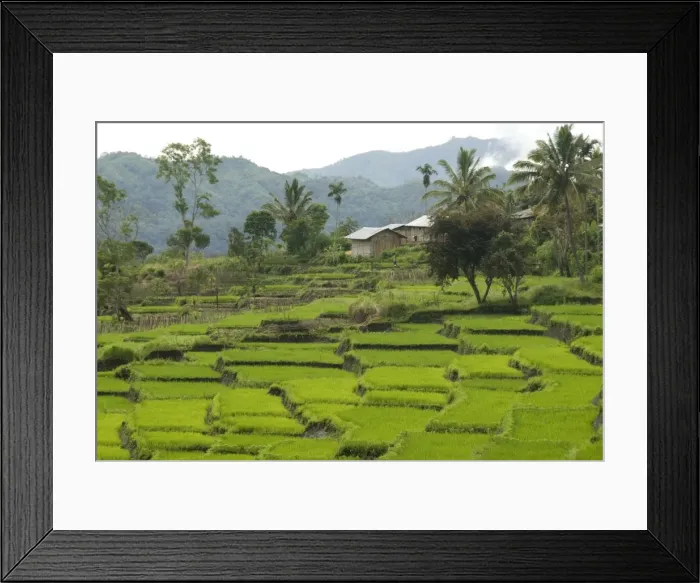 Framed Print : Waturaka valley, below Kelimutu volcano, Moni, eastern Flores, Nusa Tenggara, Indonesia, Southeast Asia, Asia Framed Print : Waturaka valley, below Kelimutu volcano, Moni, eastern Flores, Nusa Tenggara, Indonesia, Southeast Asia, Asia