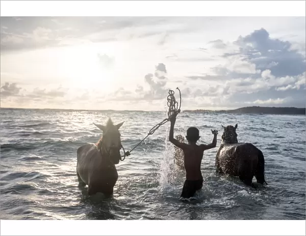 Two young boys and their horses play in the ocean in Nihiwatu, Sumba, Indonesia, Southeast Asia, Asia