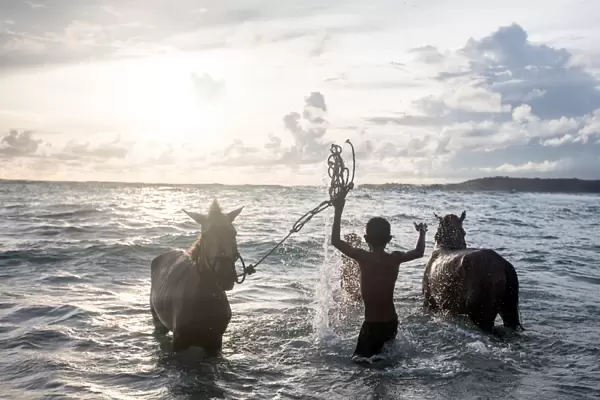 Two young boys and their horses play in the ocean in Nihiwatu, Sumba, Indonesia, Southeast Asia, Asia