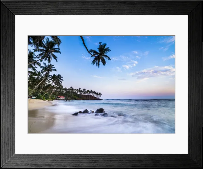 Framed Print : Palm tree at sunset, Mirissa Beach, South Coast, Southern Province, Sri Lanka, Asia Framed Print : Palm tree at sunset, Mirissa Beach, South Coast, Southern Province, Sri Lanka, Asia
