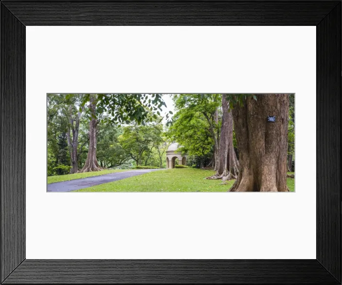Framed Print : Kandy Royal Botanical Gardens, Peradeniya, Kandy, Sri Lanka, Asia Framed Print : Kandy Royal Botanical Gardens, Peradeniya, Kandy, Sri Lanka, Asia