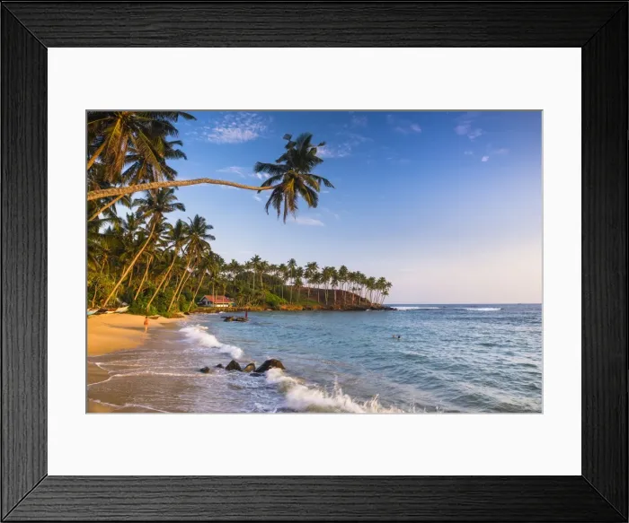 Framed Print : Palm tree on Mirissa Beach, South Coast, Southern Province, Sri Lanka, Asia