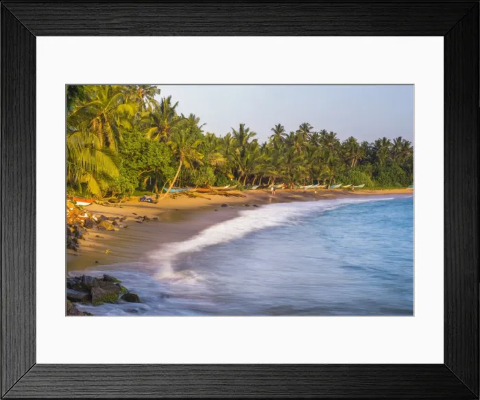 Framed Print : Palm trees on Mirissa Beach, South Coast, Southern Province, Sri Lanka, Asia Framed Print : Palm trees on Mirissa Beach, South Coast, Southern Province, Sri Lanka, Asia