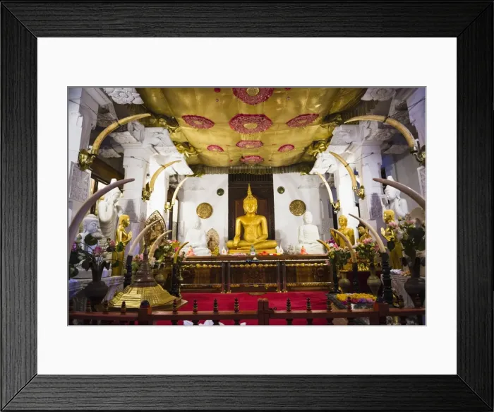 Framed Print : Golden Buddha statue at Temple of the Sacred Tooth Relic (Sri Dalada Maligawa), UNESCO World Heritage Site, Kandy, Sri Lanka, Asia Framed Print : Golden Buddha statue at Temple of the Sacred Tooth Relic (Sri Dalada Maligawa), UNESCO World Heritage Site, Kandy, Sri Lanka, Asia