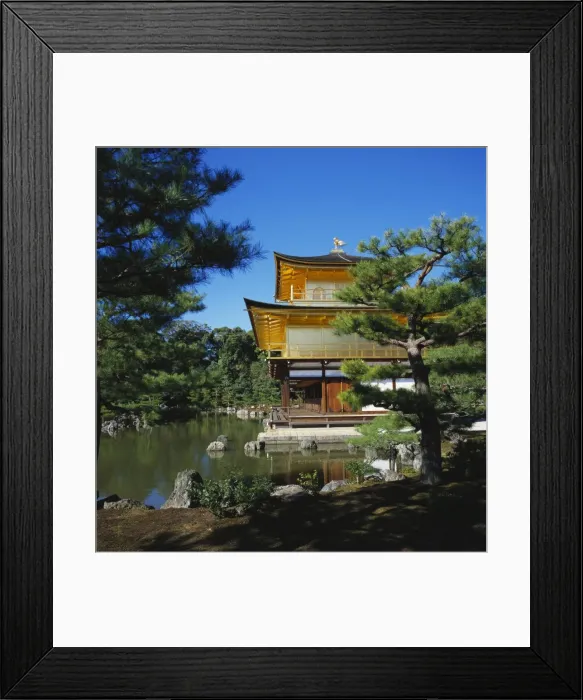 Framed Print : Kinkakuji Temple, Kansai, Kyoto, Japan Framed Print : Kinkakuji Temple, Kansai, Kyoto, Japan