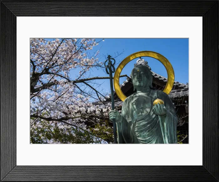 Framed Print : Statue in the cherry blossom in the Maruyama-Koen Park, Kyoto, Japan, Asia Framed Print : Statue in the cherry blossom in the Maruyama-Koen Park, Kyoto, Japan, Asia