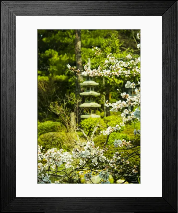 Framed Print : Okazaki Park in the Heian Jingu shrine, Kyoto, Japan, Asia Framed Print : Okazaki Park in the Heian Jingu shrine, Kyoto, Japan, Asia