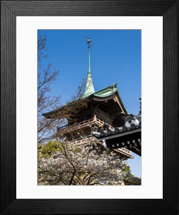 Framed Print : Pagoda in the cherry blossom in the Maruyama-Koen Park, Kyoto, Japan, Asia Framed Print : Pagoda in the cherry blossom in the Maruyama-Koen Park, Kyoto, Japan, Asia