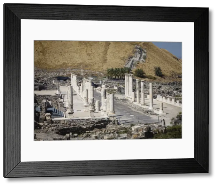 Framed Print : Ruins of the Roman-Byzantine city of Scythopolis, Tel Beit Shean National Park, Beit Shean, Israel, Middle East Framed Print : Ruins of the Roman-Byzantine city of Scythopolis, Tel Beit Shean National Park, Beit Shean, Israel, Middle East