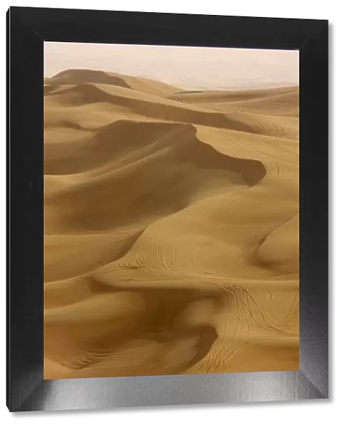 Sand dunes, Dubai, United Arab Emirates, Middle East