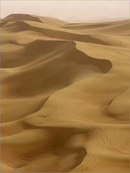 Sand dunes, Dubai, United Arab Emirates, Middle East