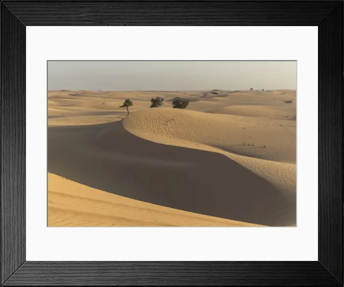 Framed Print : The desert near Liwa, Abu Dhabi, United Arab Emirates, Middle East Framed Print : The desert near Liwa, Abu Dhabi, United Arab Emirates, Middle East