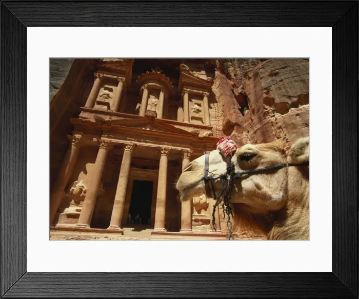 Framed Print : Camel and Low Angle View of the Khazneh, Petra, Jordan Framed Print : Camel and Low Angle View of the Khazneh, Petra, Jordan