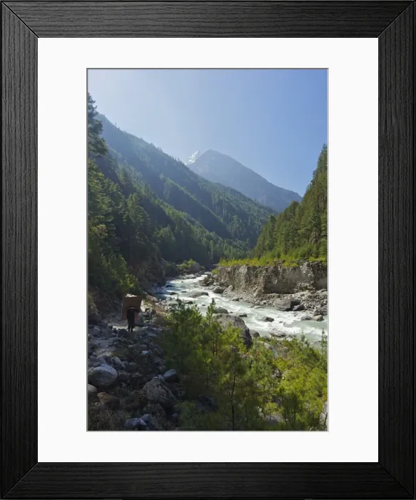 Framed Print : Porter carrying large load of wood on the trail between Lukla and Namche Bazar, Nepal, Himalayas, Asia Framed Print : Porter carrying large load of wood on the trail between Lukla and Namche Bazar, Nepal, Himalayas, Asia
