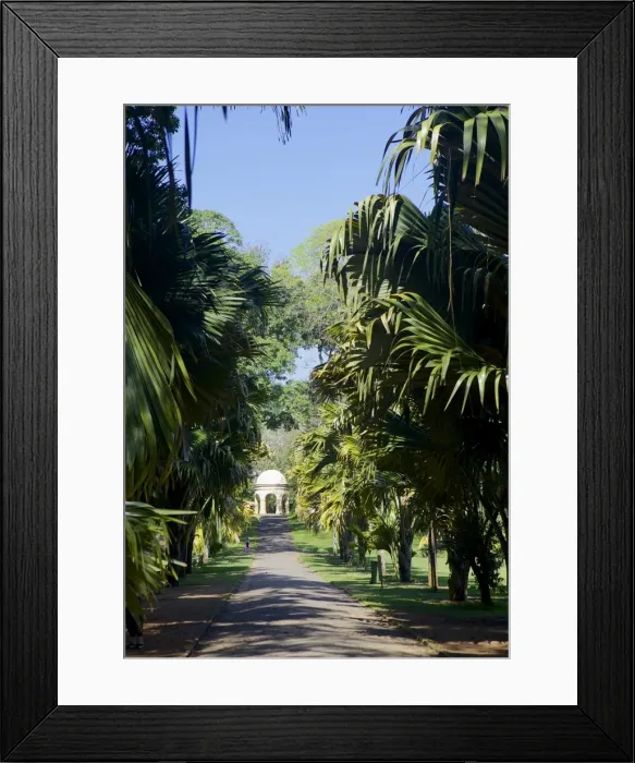 Framed Print : Royal Botanical Gardens, Peradeniya, Kandy, Sri Lanka, Asia Framed Print : Royal Botanical Gardens, Peradeniya, Kandy, Sri Lanka, Asia