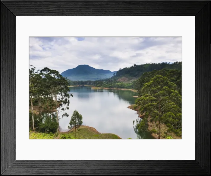 Framed Print : Maussakele Reservoir between Dalhousie and Hatton, Nuwara Eliya District of the Central Highlands, Sri Lanka, Asia Framed Print : Maussakele Reservoir between Dalhousie and Hatton, Nuwara Eliya District of the Central Highlands, Sri Lanka, Asia