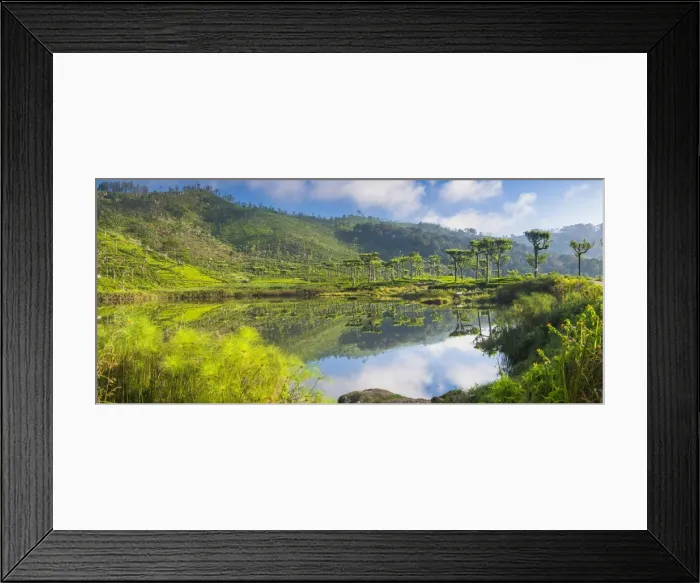 Framed Print : Lake at Haputale, Nuwara Eliya District, Sri Lanka Hill Country, Sri Lanka, Asia Framed Print : Lake at Haputale, Nuwara Eliya District, Sri Lanka Hill Country, Sri Lanka, Asia