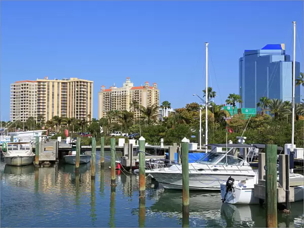Bayfront Marina, Sarasota, Florida, United States of America, North America