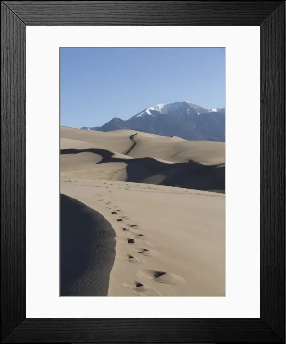 Framed Print : Sand dunes in the Great Sand Dunes National Park and Preserve, with Sangre Cristo Mountains in the background, Colorado, United States of America, North America Framed Print : Sand dunes in the Great Sand Dunes National Park and Preserve, with Sangre Cristo Mountains in the background, Colorado, United States of America, North America