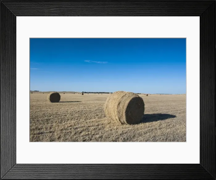 Framed Print : Hay bales on a field along Route two through Nebraska, United States of America, North America Framed Print : Hay bales on a field along Route two through Nebraska, United States of America, North America