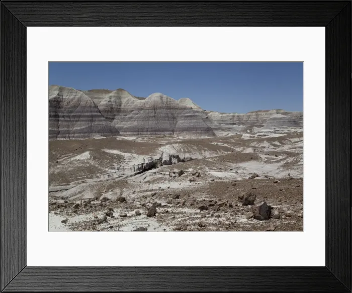 Framed Print : Sedimentary layers of bluish bentonite clay with petrified wood, Blue Mesa Trail, Blue Mesa, Petrified Forest National Park, Arizona, United States of America, North America Framed Print : Sedimentary layers of bluish bentonite clay with petrified wood, Blue Mesa Trail, Blue Mesa, Petrified Forest National Park, Arizona, United States of America, North America