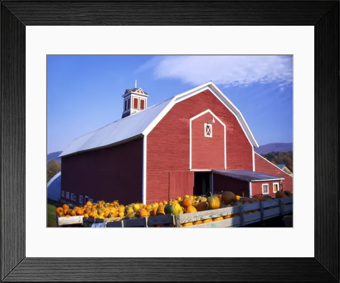 Framed Print : Crates of Pumpkins Outside a Farmhouse in Vermont, New England, USA