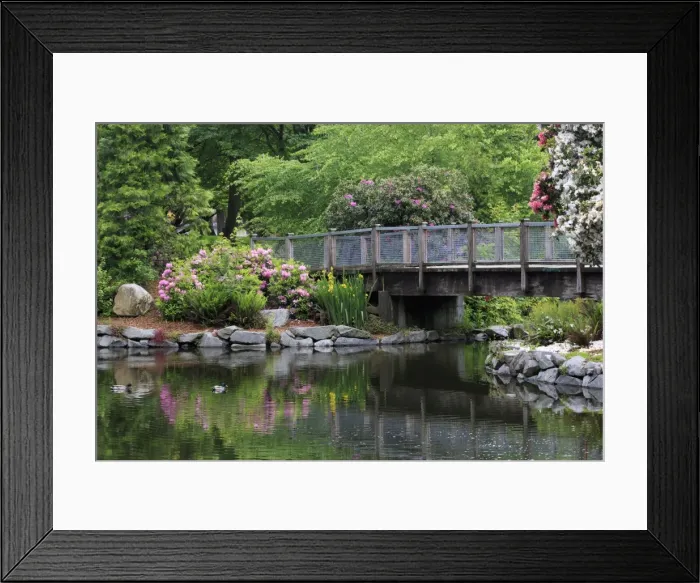 Framed Print : Wright Park, Tacoma, Washington State, United States of America, North America Framed Print : Wright Park, Tacoma, Washington State, United States of America, North America