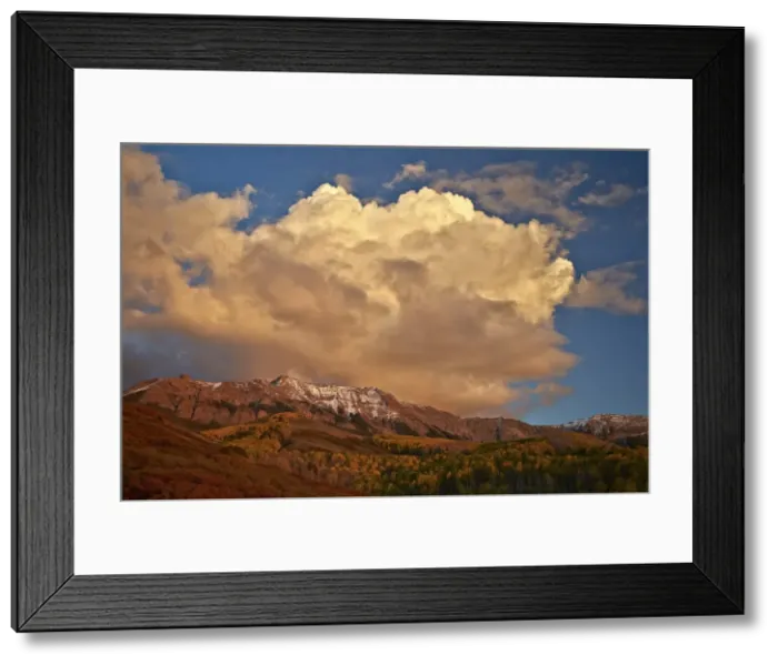 Framed Print : Cloud over the Sneffels Range in the fall, Uncompahgre National Forest, Colorado, United States of America, North America Framed Print : Cloud over the Sneffels Range in the fall, Uncompahgre National Forest, Colorado, United States of America, North America