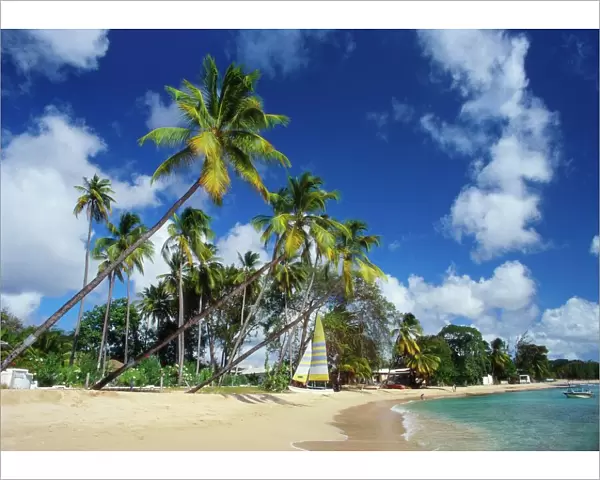 Mullins Beach, St Peter Parish, Barbados, Caribbean