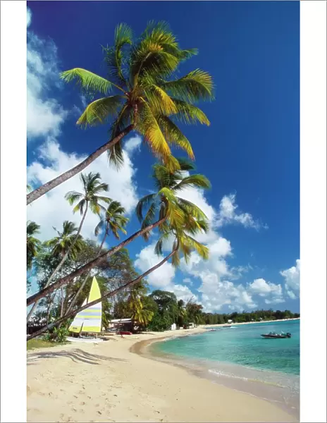 Mullins Beach, St Peters Parish, Barbados, Caribbean